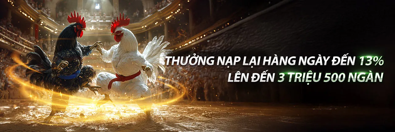 TDTC Link Vào Chính Thức 2026