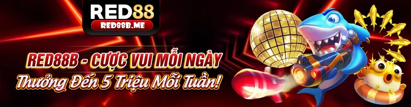 Câu lạc bộ VIP TDTC với các phần thưởng độc quyền