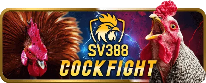 Chương trình VIP TDTC